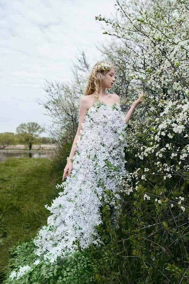 dor de primavara de teodora dumitru