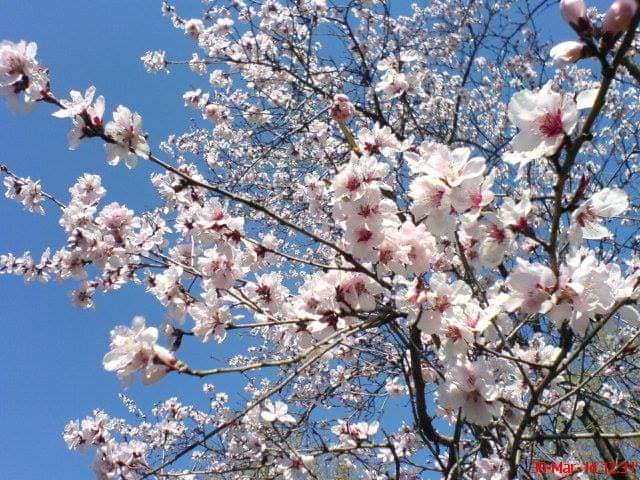 du-te iarna de teodora dumitru