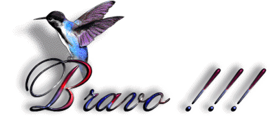 gif-bravo-fc3a9licitations-64