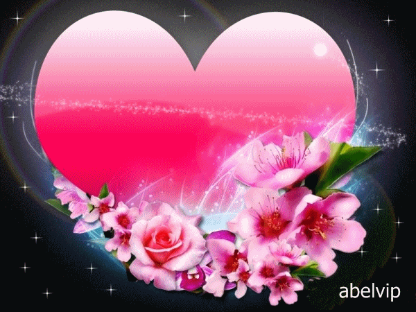 gplus8157782373847175780