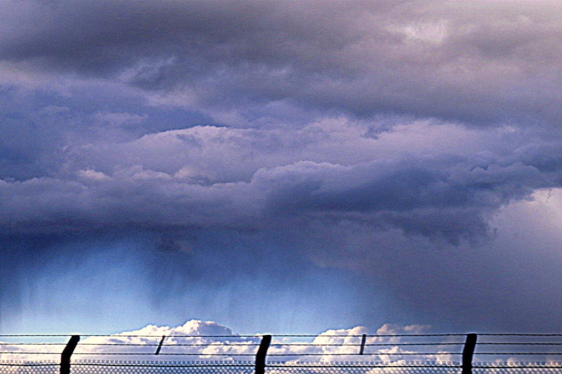 ingerii din nori de aurelia oanca