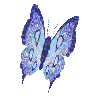 papillonbleu