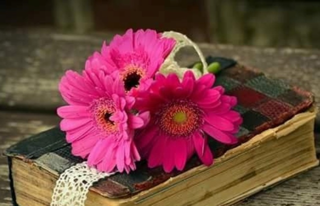 regretand de elena tudosa