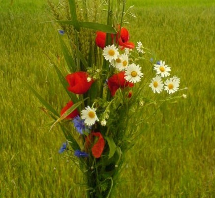 Romanul s-a nascut poet de Gabriel Ionescu