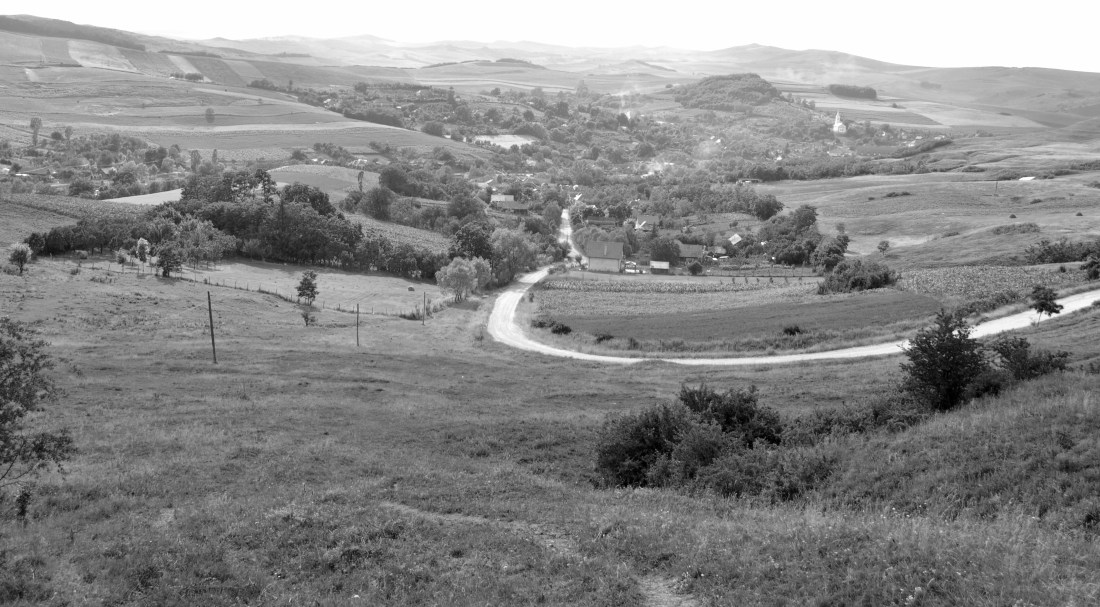 Rondelul  vechiului castel  de constatin bidulescu.JPG