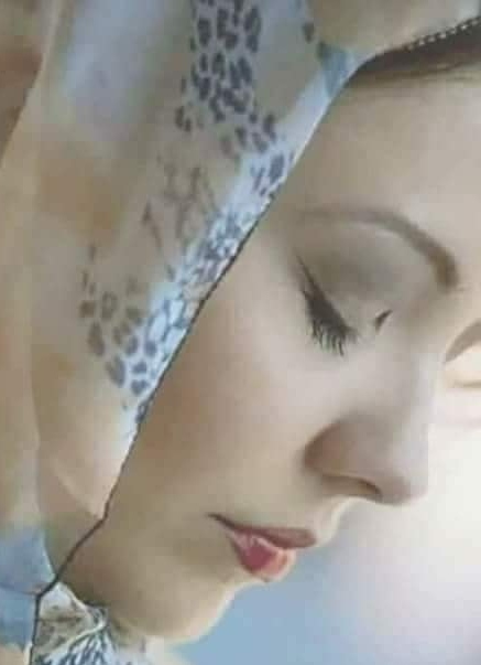 sarmanul meu suflet de elena tudosa