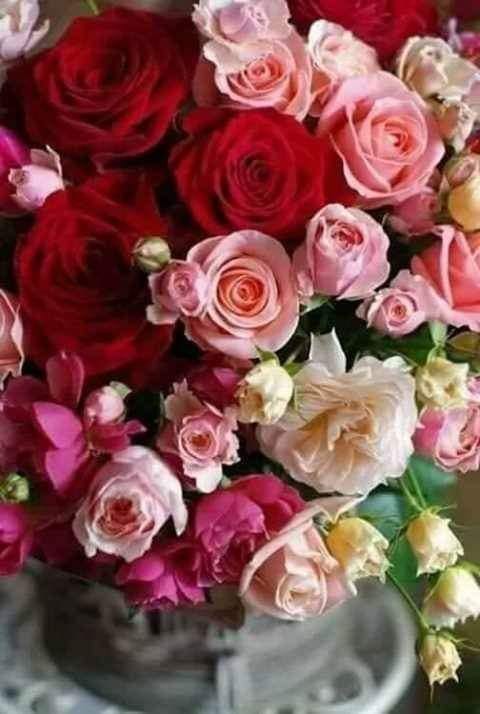 Sarut mana mama de angela marinescu