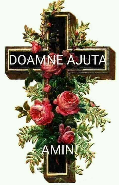 sfanta cruce de elena tudosa