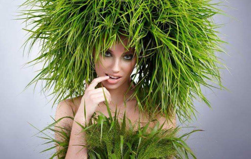 vegetarianul de constatin bidulescu