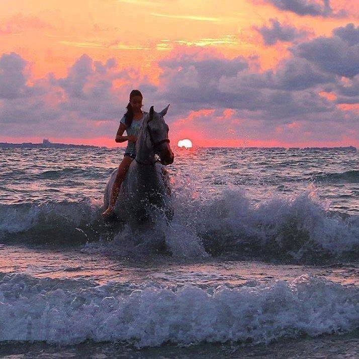 vis frumos de violeta butnariu