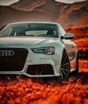 Romdelul fotbalistului de Constantin Bidulescu