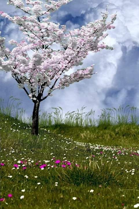 aprilie de teodora d