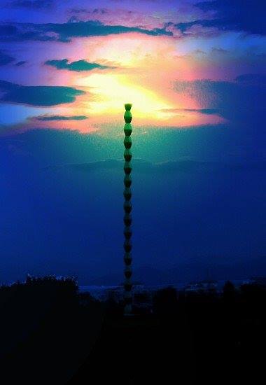 aripi de carmen pinte