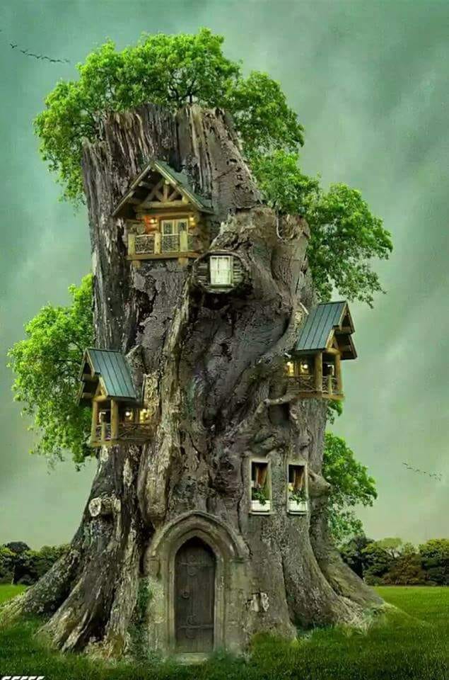 blocul nostru-i renumit de sandu chiva