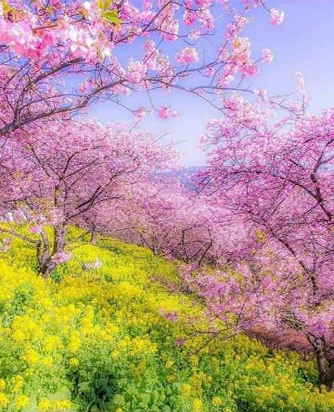 bun venit aprilie de teodora dumitru