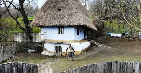 cate generatii de aurelia oanca