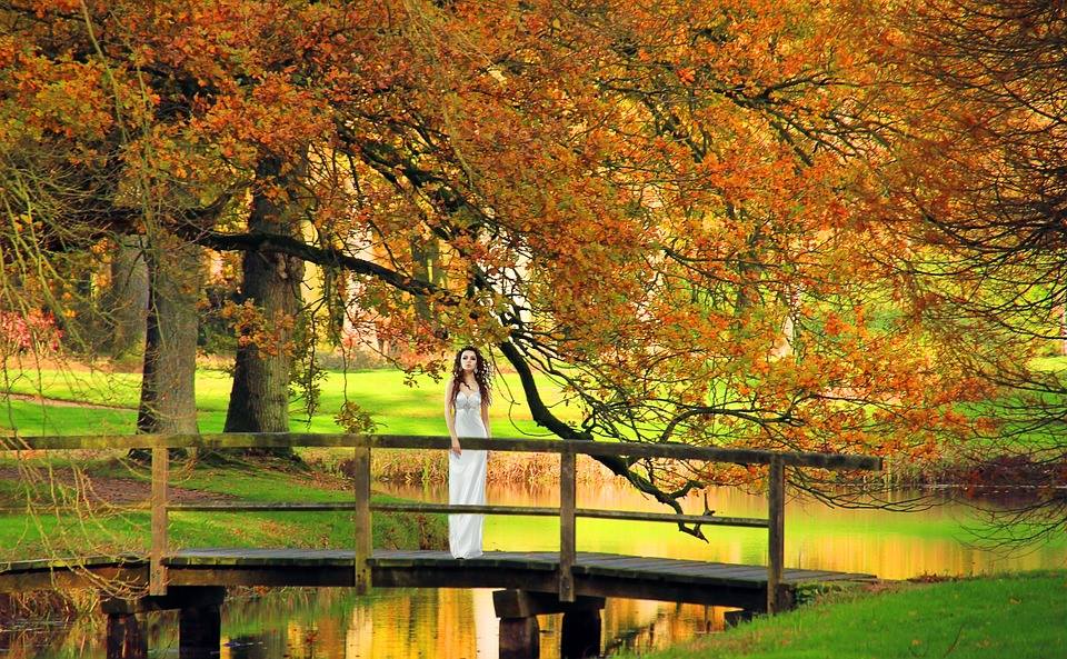 din toamna vietii de aurelia oanca
