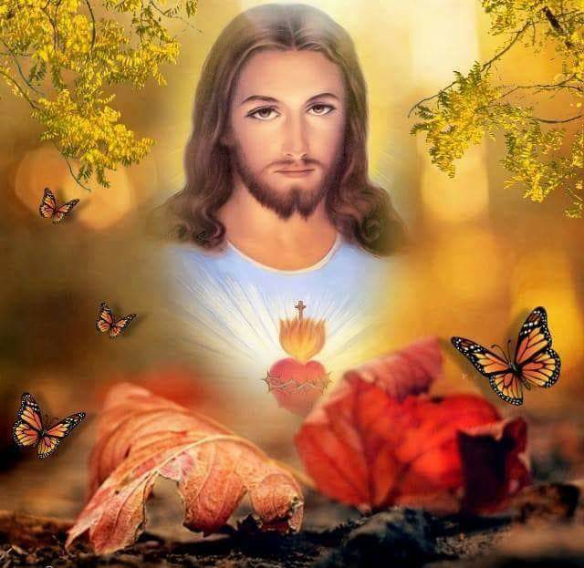 domnul fie laudat de elena tudosa