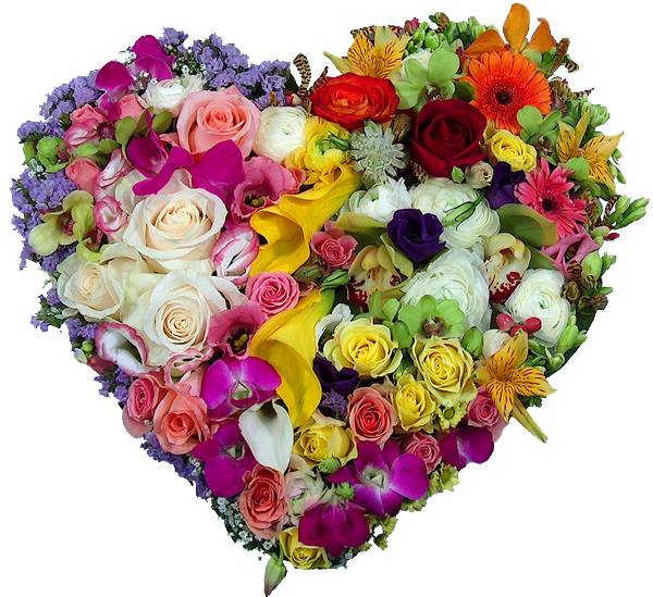 Florile din inima mea de Mihaela CD