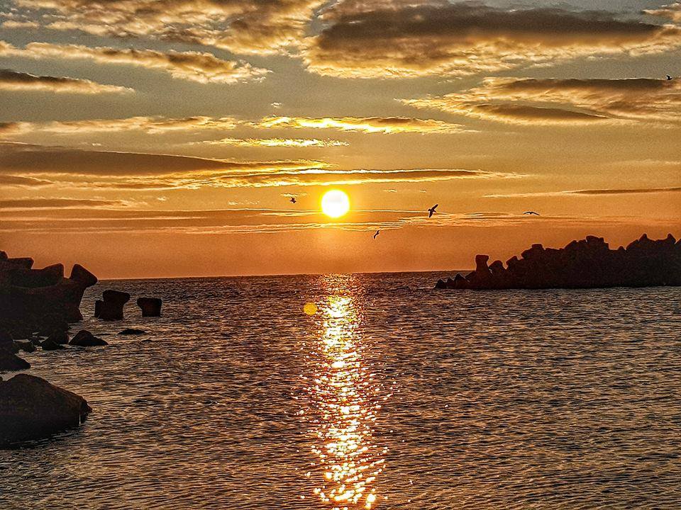 in zori de zi de aurelia oanca