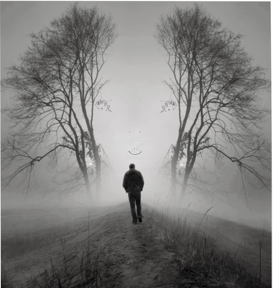 inca visez d stefan dd