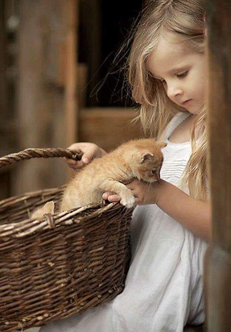 Inima de copil de Mihaela CD