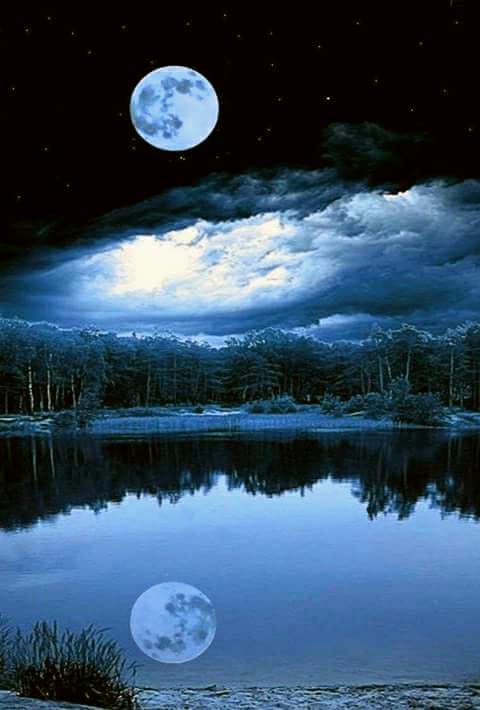 m-am pierdut de loreta t