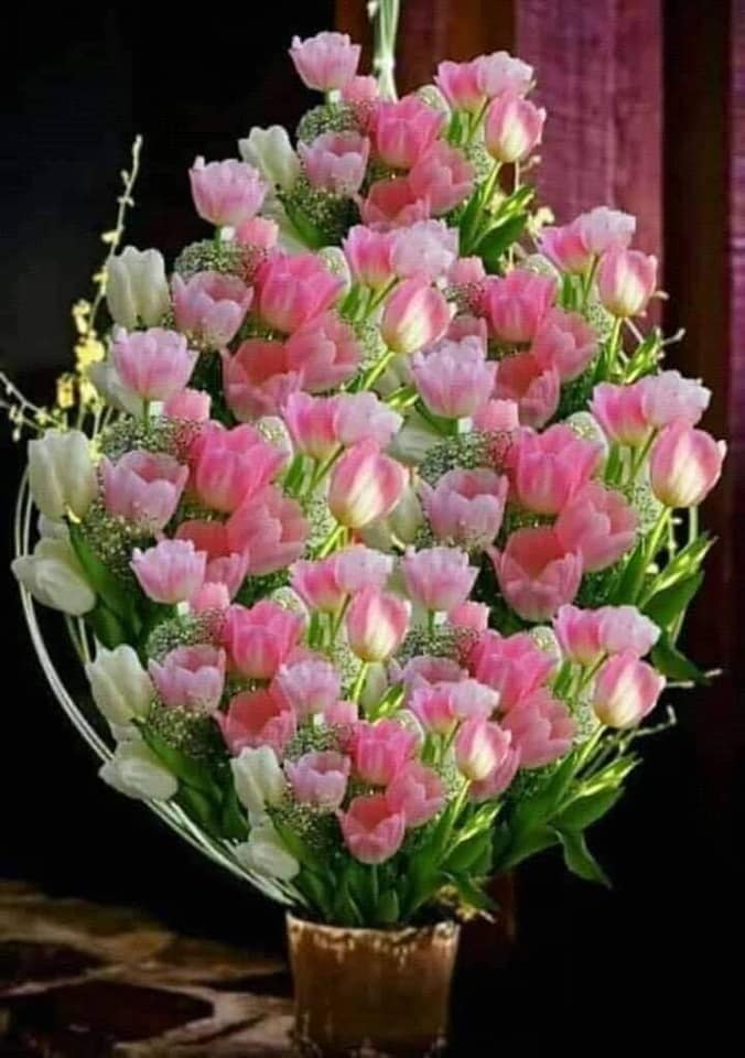 Maicuta draga de Elena Tudosa (2)