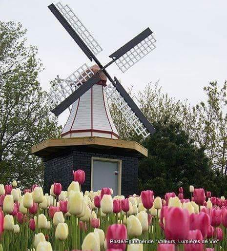 Mijloc de aprilie de Violeta Butnariu