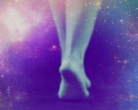 petale in calea de vis de daniel visan dimitriu