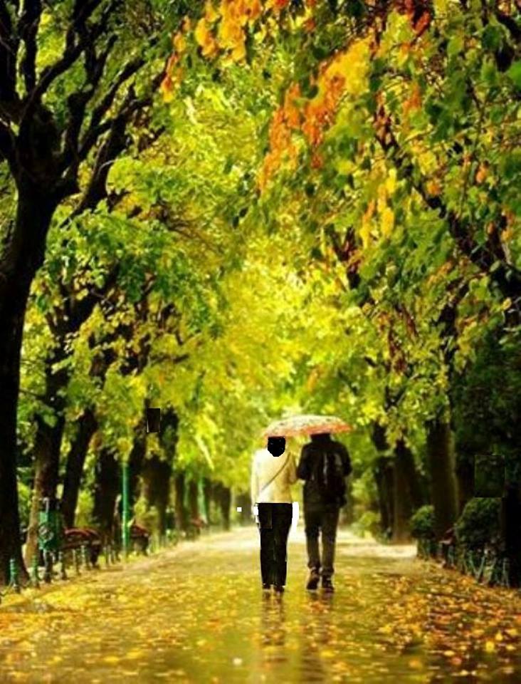 ploaie albastra de aurelia oanca