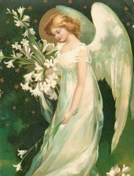 portalul din cuvant de aurelia oanca