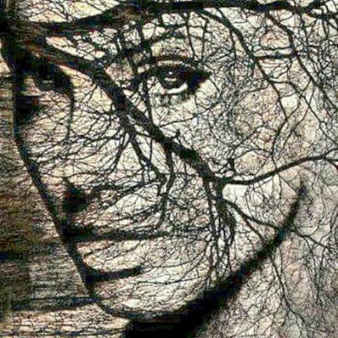 PRINTRE RAMURI DE AURELIA OANCA