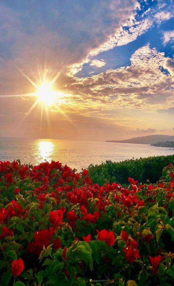 priveste cerul de aurelia oanca