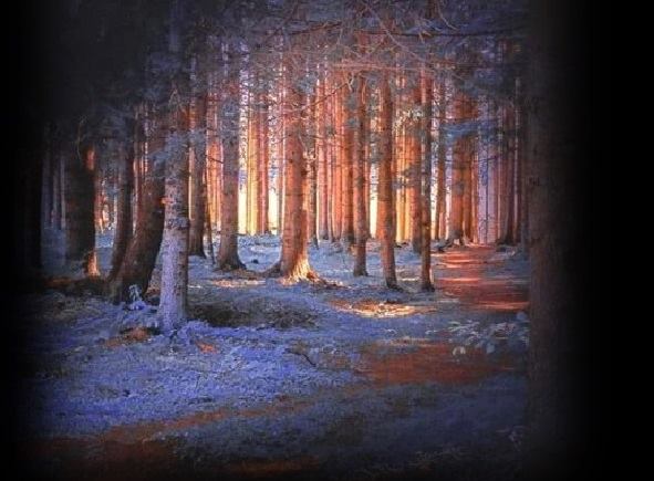 raa lumii de apoi de daniel visan dumitriu