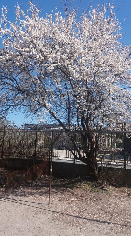 scriu cu razele de soare de teo d