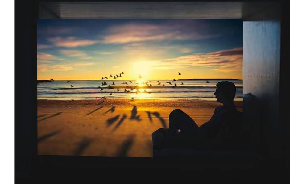 supleantul de stefan dd