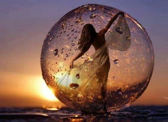 tarmul de amurg de daniel visan dumitriu