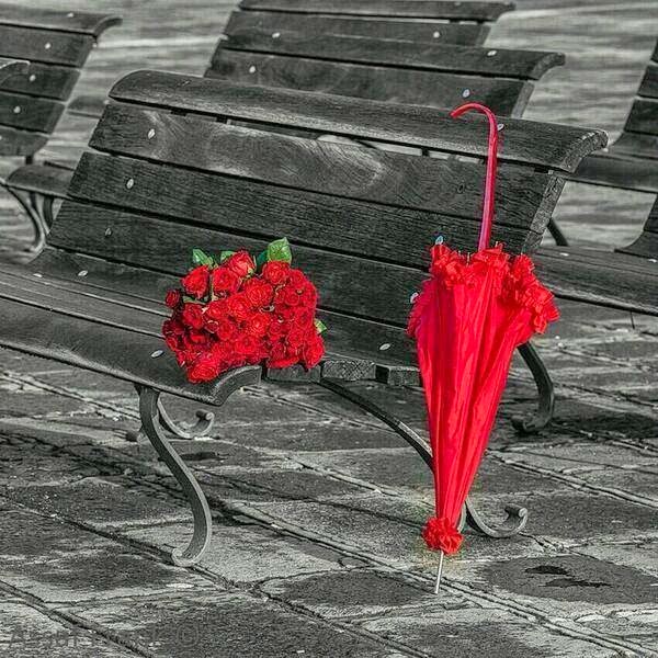 Te-astept pe aceeasi banca de Mihaela CD