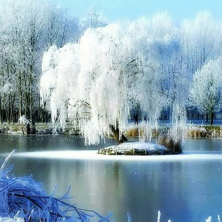 toti romanii-n legea lor de sandu chiva