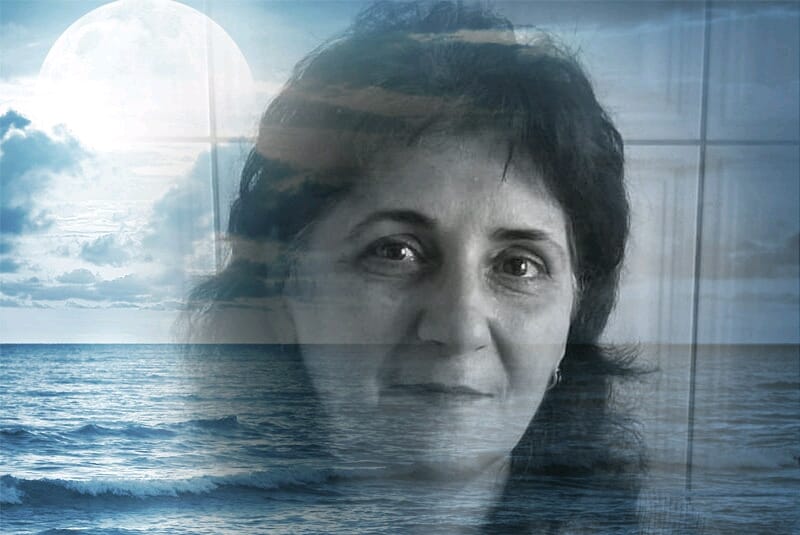 visul de loreta toader