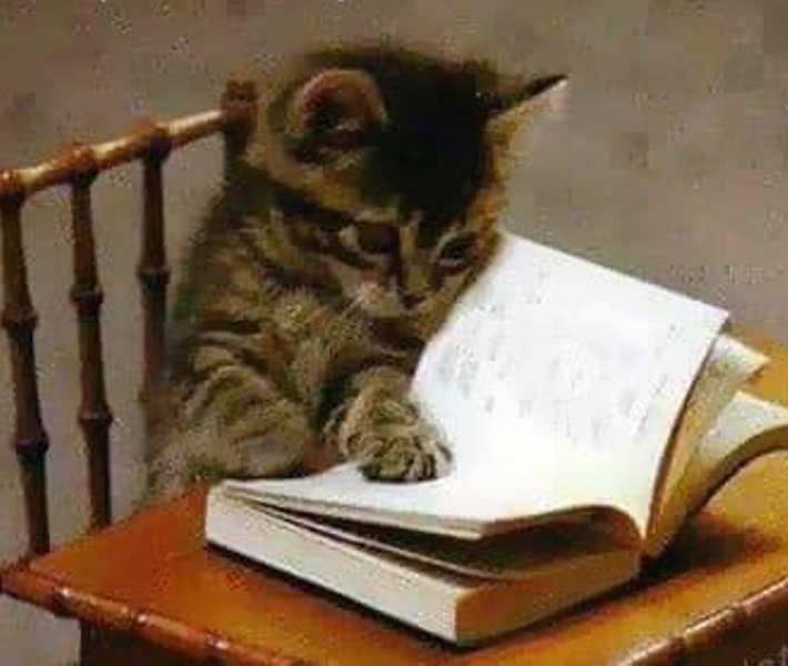 Catrene vesele de Constantyin Bidulescu