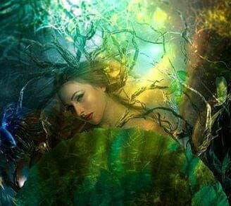 cine sunt eu de carolina baldea