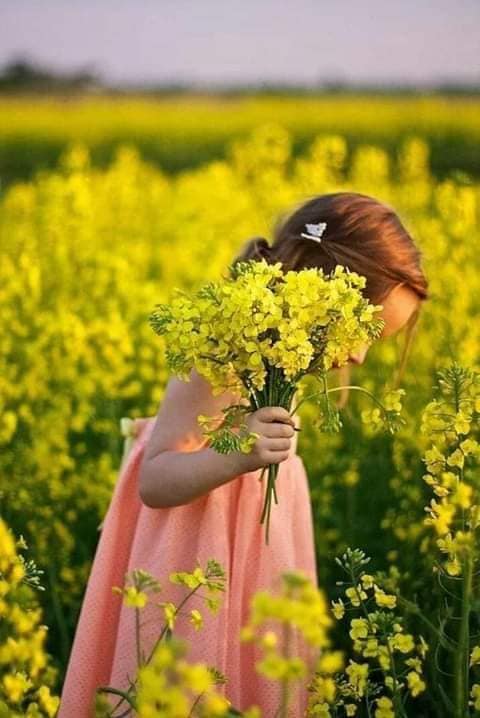 coronita de teodora dumitru