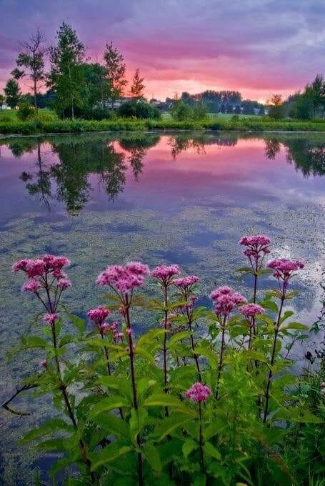 Ganduri de Loreta Toader