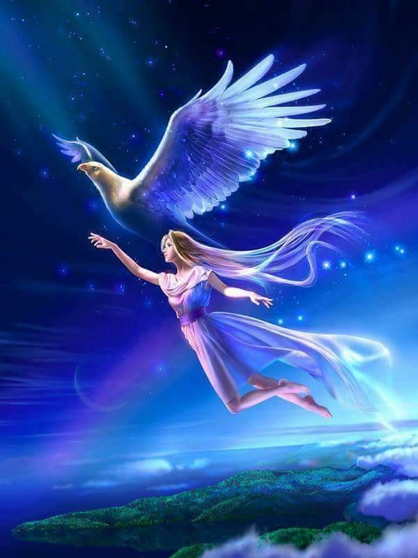 hoata din cer de elena tudosa