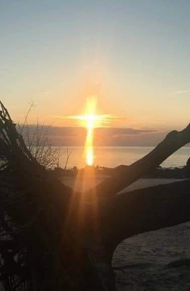 Hristos a inviat de Loreta Toader