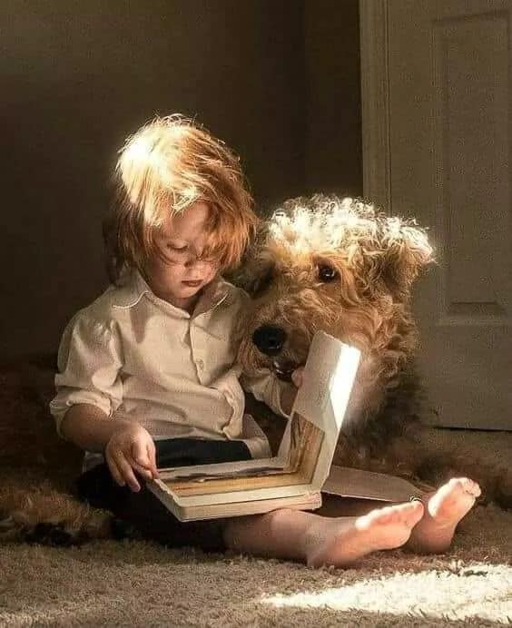 La scoala de Constantin Bidulescu