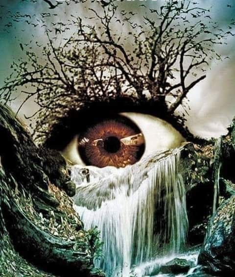 o lacrima de elena tudosa