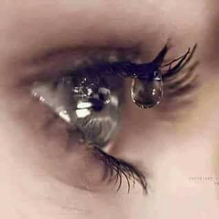 patimi de elena tudosa